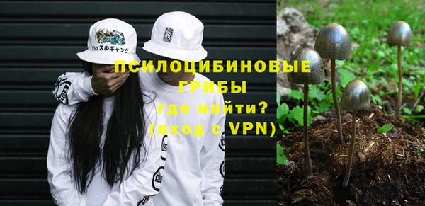ALPHA PVP Алексеевка